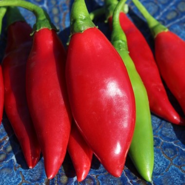 Chili Balik (Erdinc Strain) (Schärfe 3) (Samen)