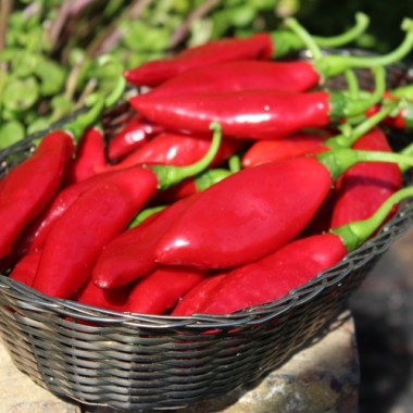 Chili Balik (Erdinc Strain) (Schärfe 3) (Samen)
