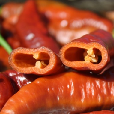 Neu! Chili Caramello (Schärfe 2) (Samen)