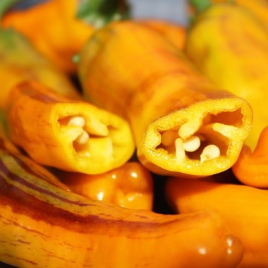 Neu! Chili Cassius Longinus (panaschiert) (Schärfe 4) (Samen)