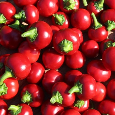 Chili Cherry Bomb (Schärfe 1) (Samen)
