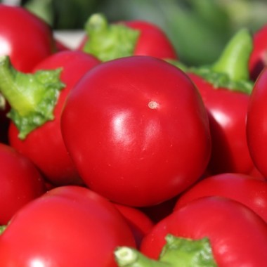 Chili Cherry Bomb (Schärfe 1) (Samen)