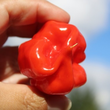 - Kopie - Kopie - Kopie - Kopie - Kopie