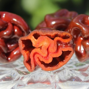 Neu! Chili Habanero Sweet Brown (Schärfe 1) (Samen)