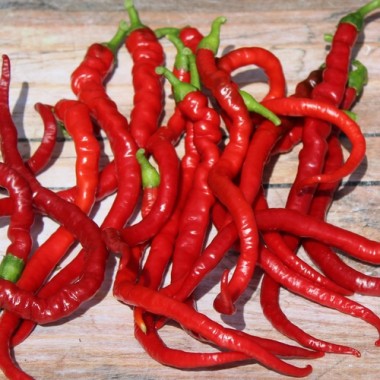 Chili Hair (Kil Biber) (Schärfe 5) (Samen)