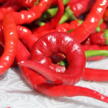 Chili Hair (Kil Biber) (Schärfe 5) (Samen)