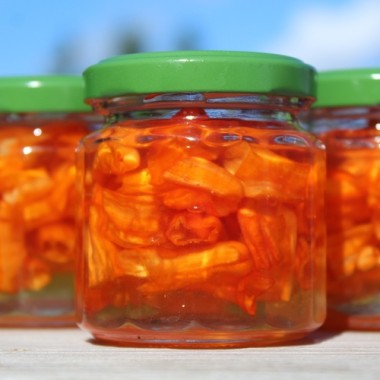 Neu! Chili Intergalactic (panaschiert) (Schärfe 5) (Samen)