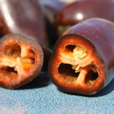 Neu! Chili Jalapeno Black Marrocan (Schärfe 4) (Samen)