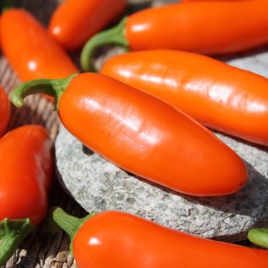 Chili Jalapeno NuMex Orange Spice (Schärfe 2) (Samen)
