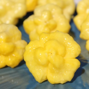 Neu! Chili Khang Starr Lemon Starrburst (Schärfe 10) (Samen)