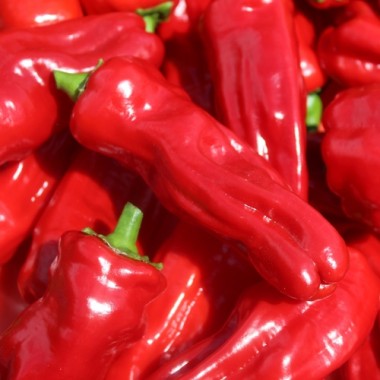 Chili Üc Burun (Schärfe 5) (Samen)