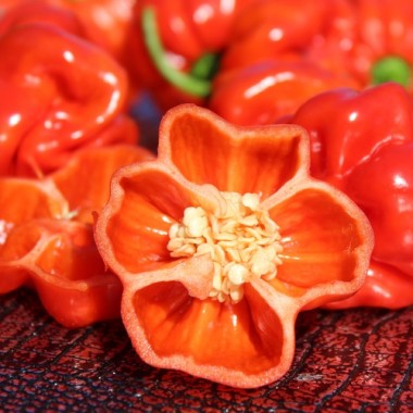 Chili Vicentes Sweet Habanero (Schärfe 0) (Samen)