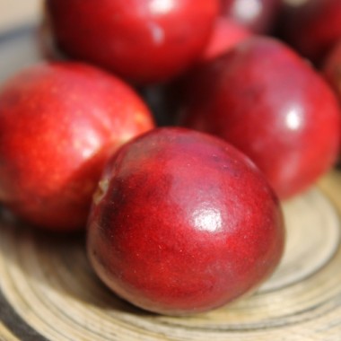 Cranberry Crowley (Pflanze)