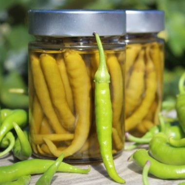 Einlegechili Guindilla Bianca Vinagre (Schärfe 3) (Samen)