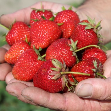 - Kopie - Kopie - Kopie