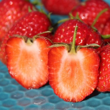 - Kopie - Kopie - Kopie