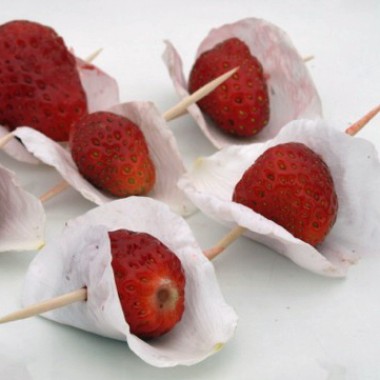 Moschuserdbeere Marie Charlotte (Pflanze)