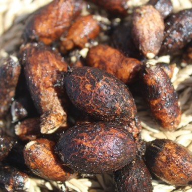 Erdnuss-Platterbse (Pflanze)