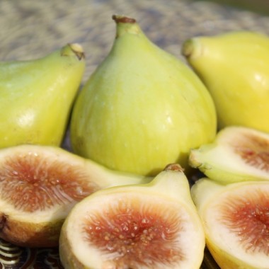 Feige Goute d'Or (Pflanze)