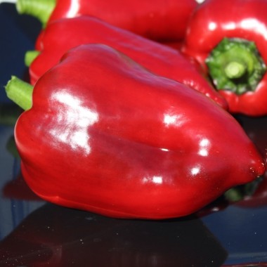 Neu! Gemüsechili Mulato Notturno Grande (Schärfe 1) (Samen)