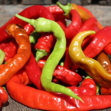 Gemüsechili Romanian Sweet (Samen)