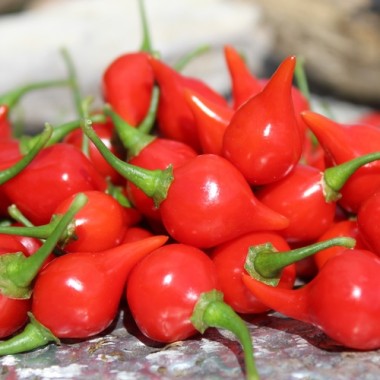 Gemüsechili De Bico (Schärfe 1) (Samen)