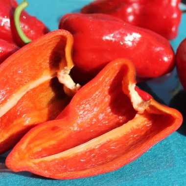 Gemüsechili Ancho Poblano (Schärfe 1) (Samen)