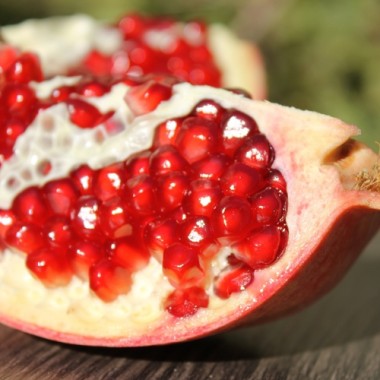 Granatapfel Agat (Pflanze)