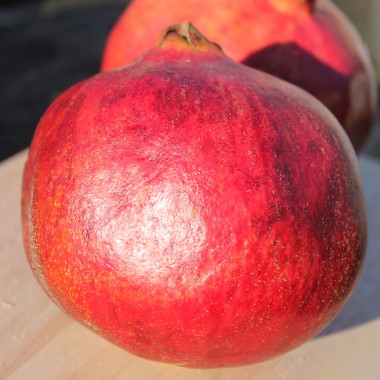 Granatapfel Asmar (Pflanze)
