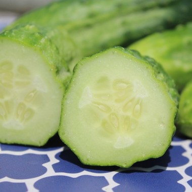 Gurke Bushy (Samen)