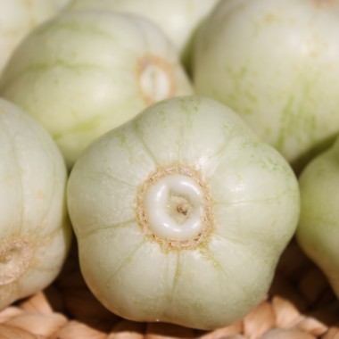 Gurke Chrystal Apple (Samen)