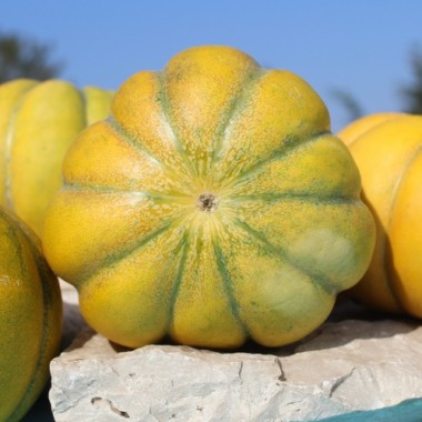 Neu! Honigmelone Nickerie Triangle (Samen)