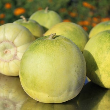 Honigmelone Sakata's Sweet  (Samen)