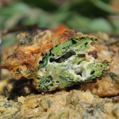 Huazontle - Broccolimelde (Samen)