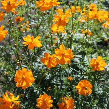 - Kopie - Kopie - Kopie - Kopie - Kopie