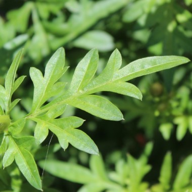 - Kopie - Kopie - Kopie - Kopie - Kopie