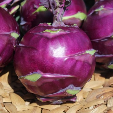 Kohlrabi Blauer Speck (Samen)
