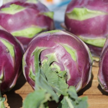 Kohlrabi Dyna (Samen)