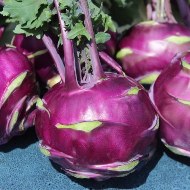 Kohlrabi Vienna Purple (Samen)