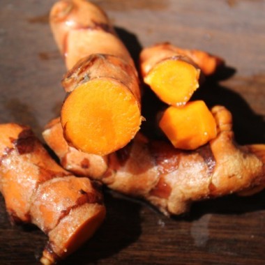 Kurkuma (Pflanze)