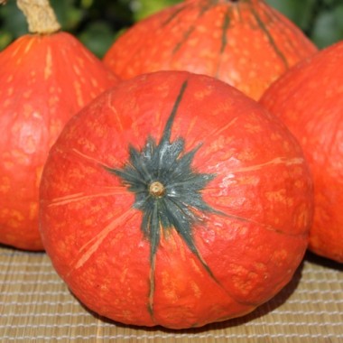 Kürbis Hokkaido orange  (Samen)