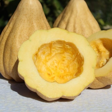 Preview: Kürbis Thelma Sanders Sweet Potato (Buschkürbis) (Samen)