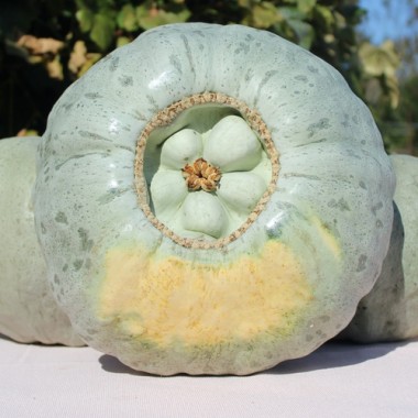 - Kopie - Kopie - Kopie - Kopie - Kopie