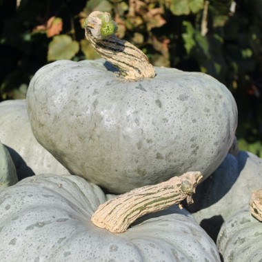 - Kopie - Kopie - Kopie - Kopie - Kopie