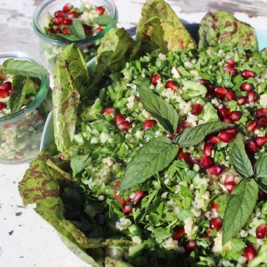 Neu! Libanesische Salatminze für Tabouleh (Pflanze)