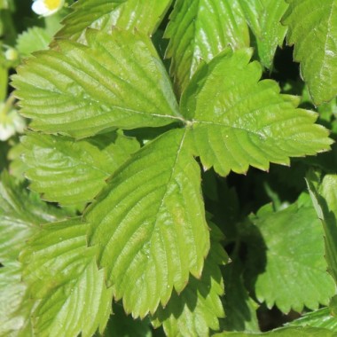 Preview: - Kopie - Kopie - Kopie - Kopie