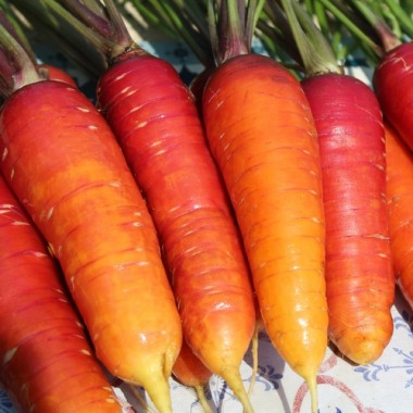 - Kopie - Kopie - Kopie - Kopie - Kopie