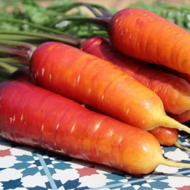 Möhre Rouge Sang (Samen)