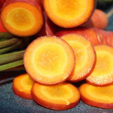 Preview: - Kopie - Kopie - Kopie - Kopie - Kopie