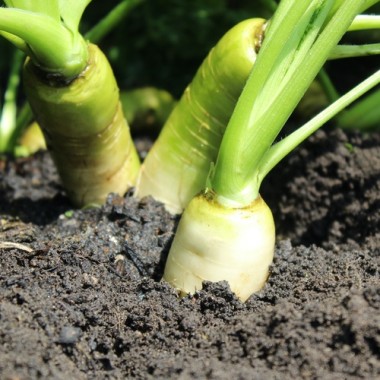 - Kopie - Kopie - Kopie - Kopie